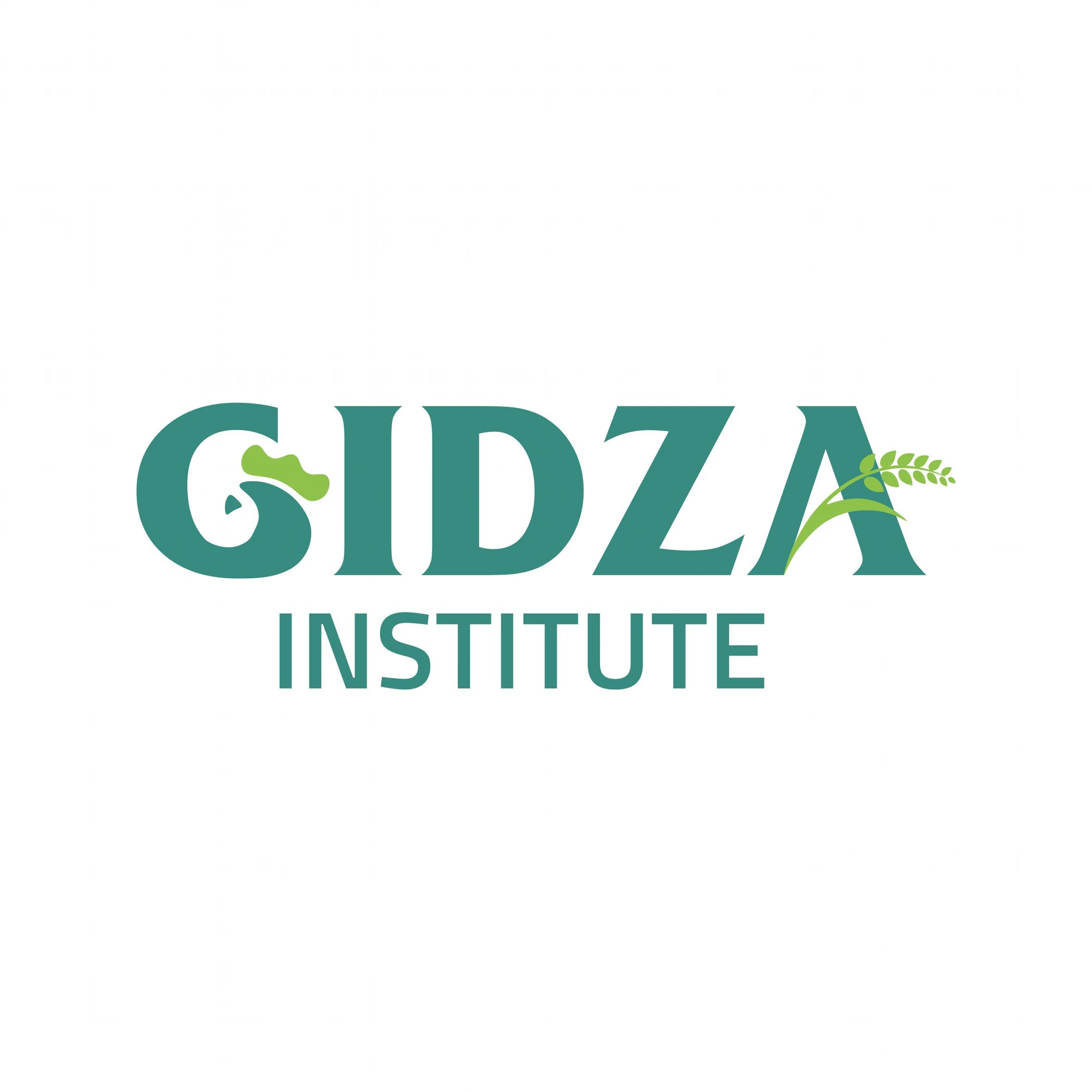 GIDZA INSTITUTE