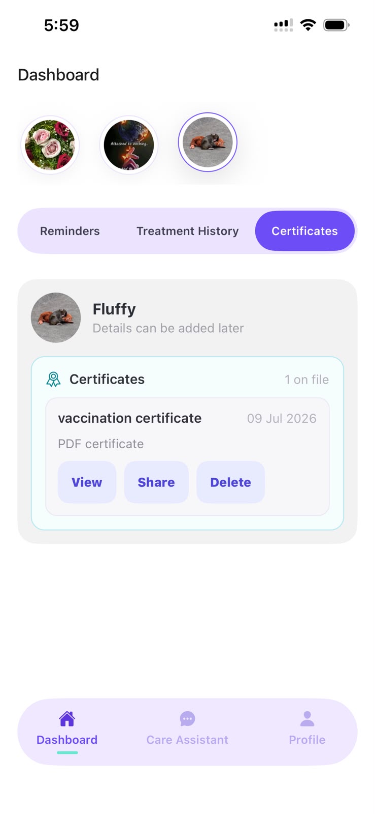 Certificates are kept separate on your Dashboard for easy access and sharing