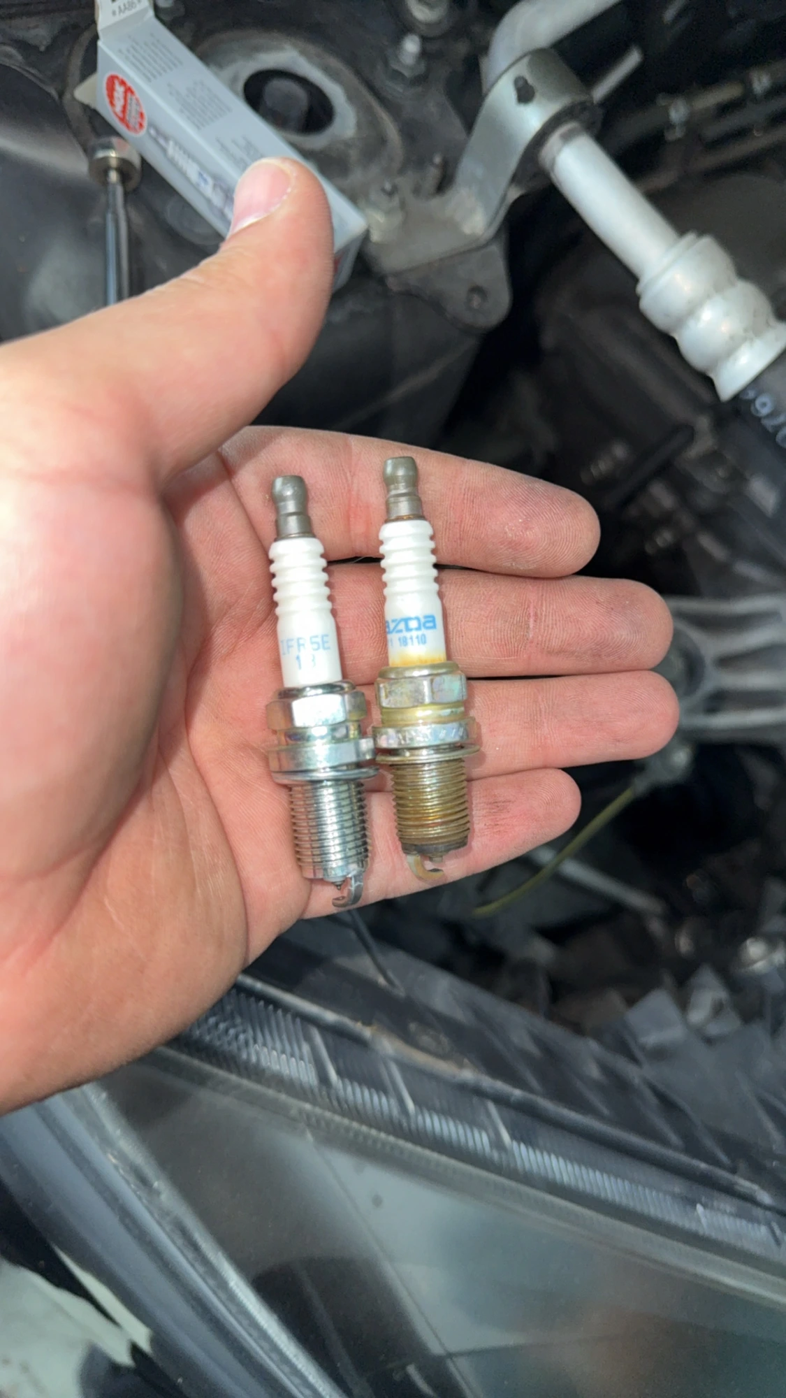 Onderhoud & Reparatie 2