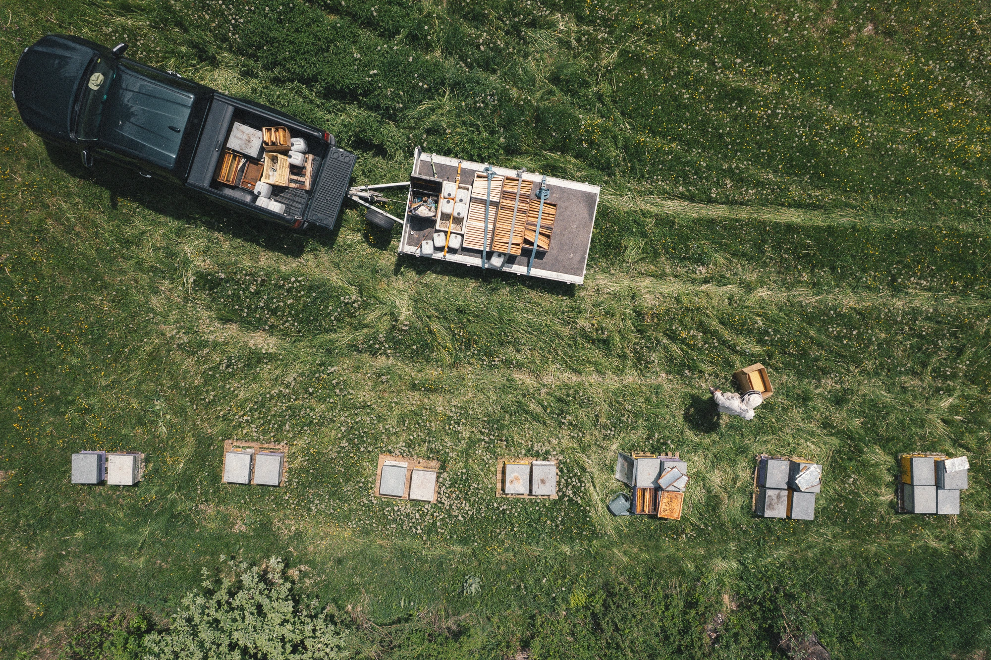 Inspection des ruches