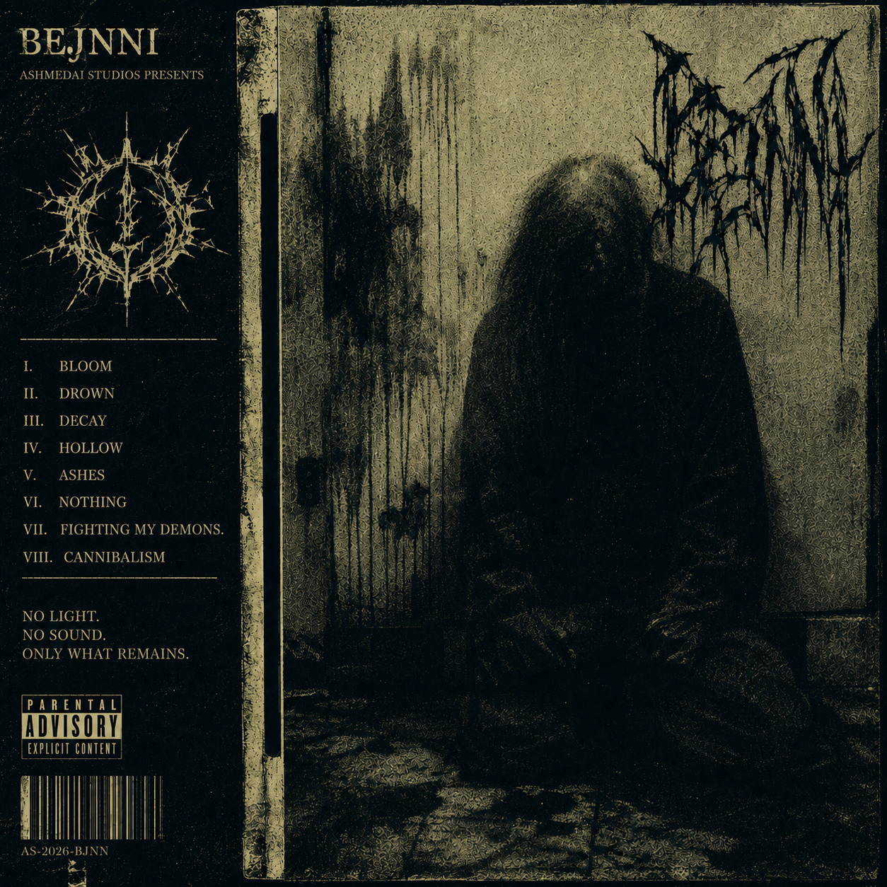 NO LIGHT. NO SOUND. ONLY WHAT REMAINS. album artwork