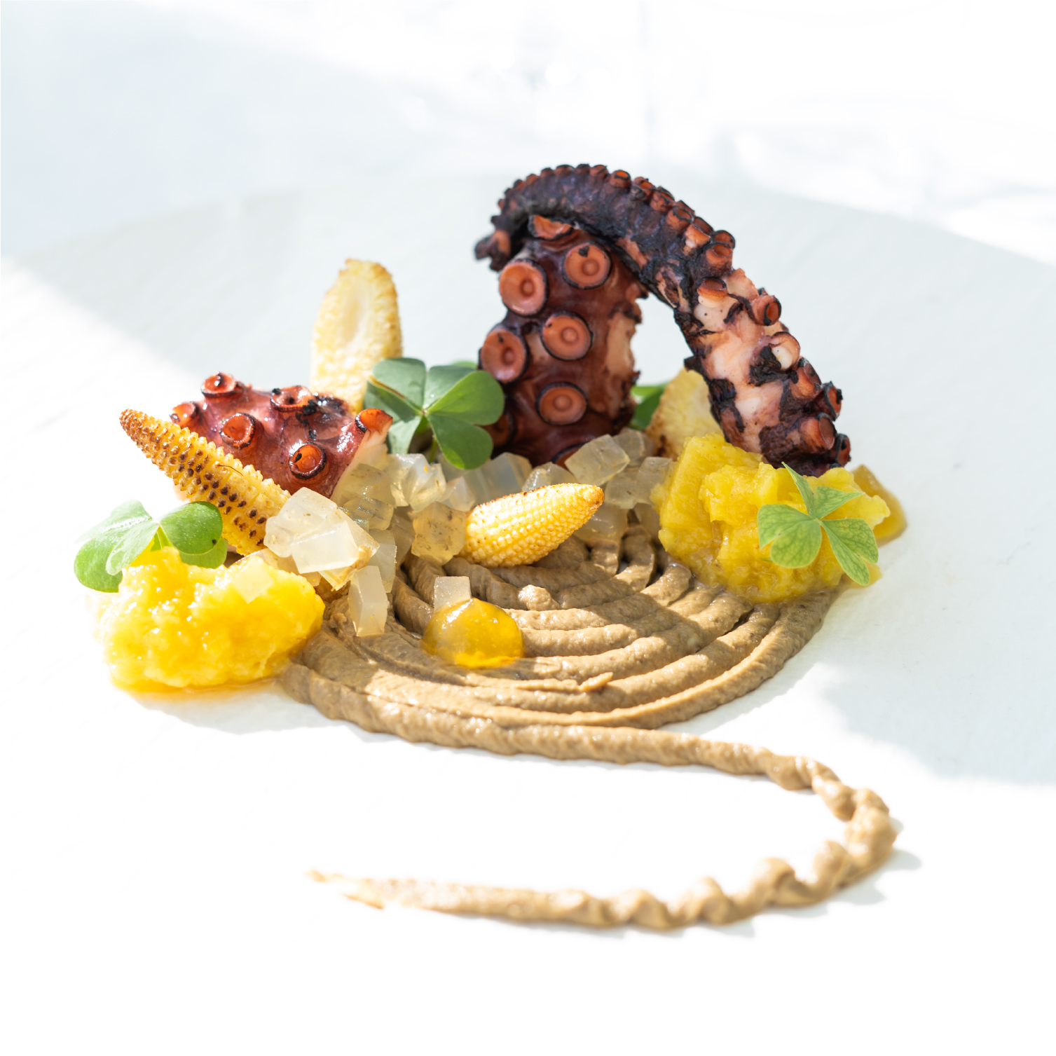 Polpo arrostito, crema e gel di mare