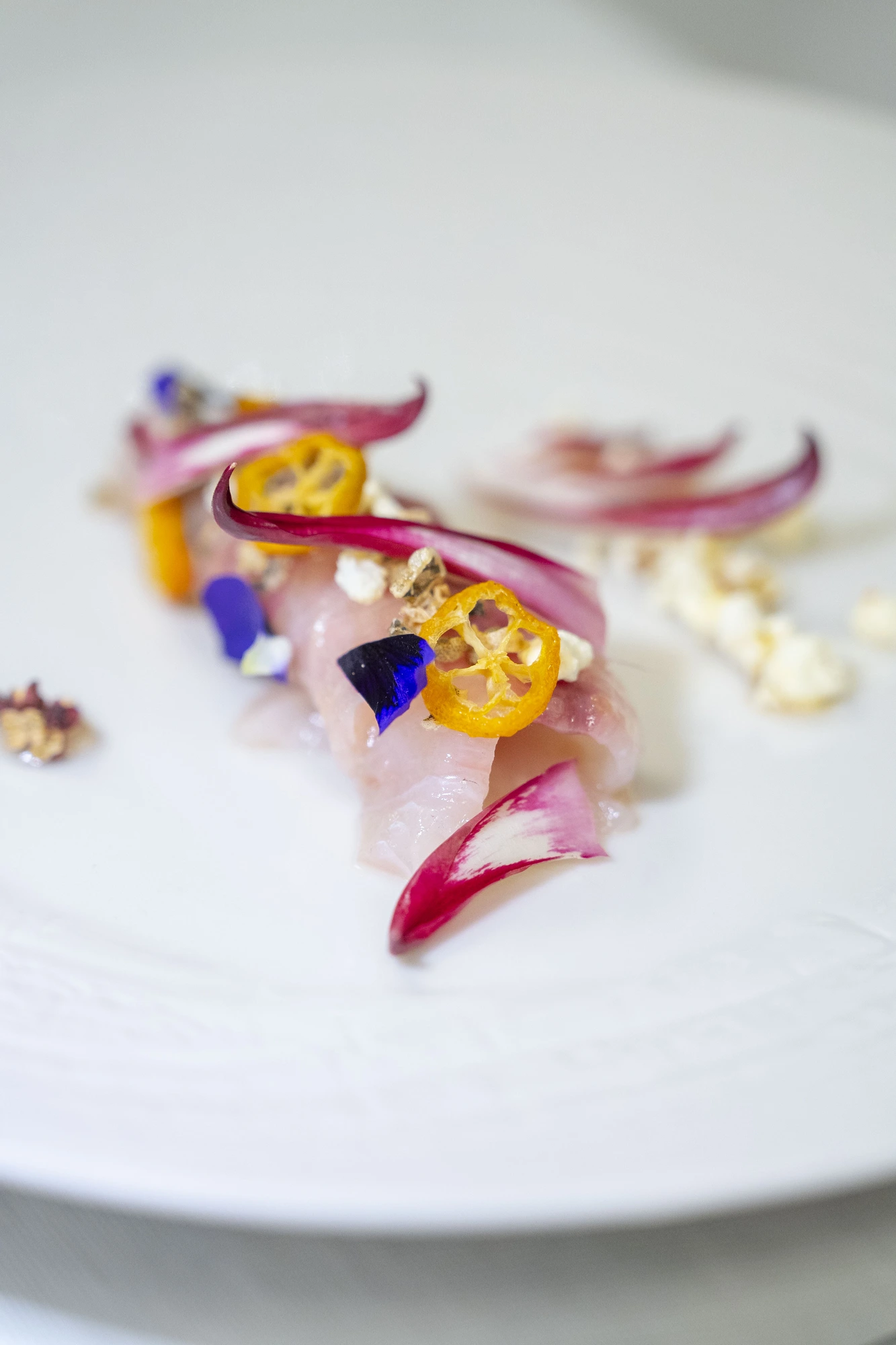 Crudo di pesce, kumquat, radicchio e viole