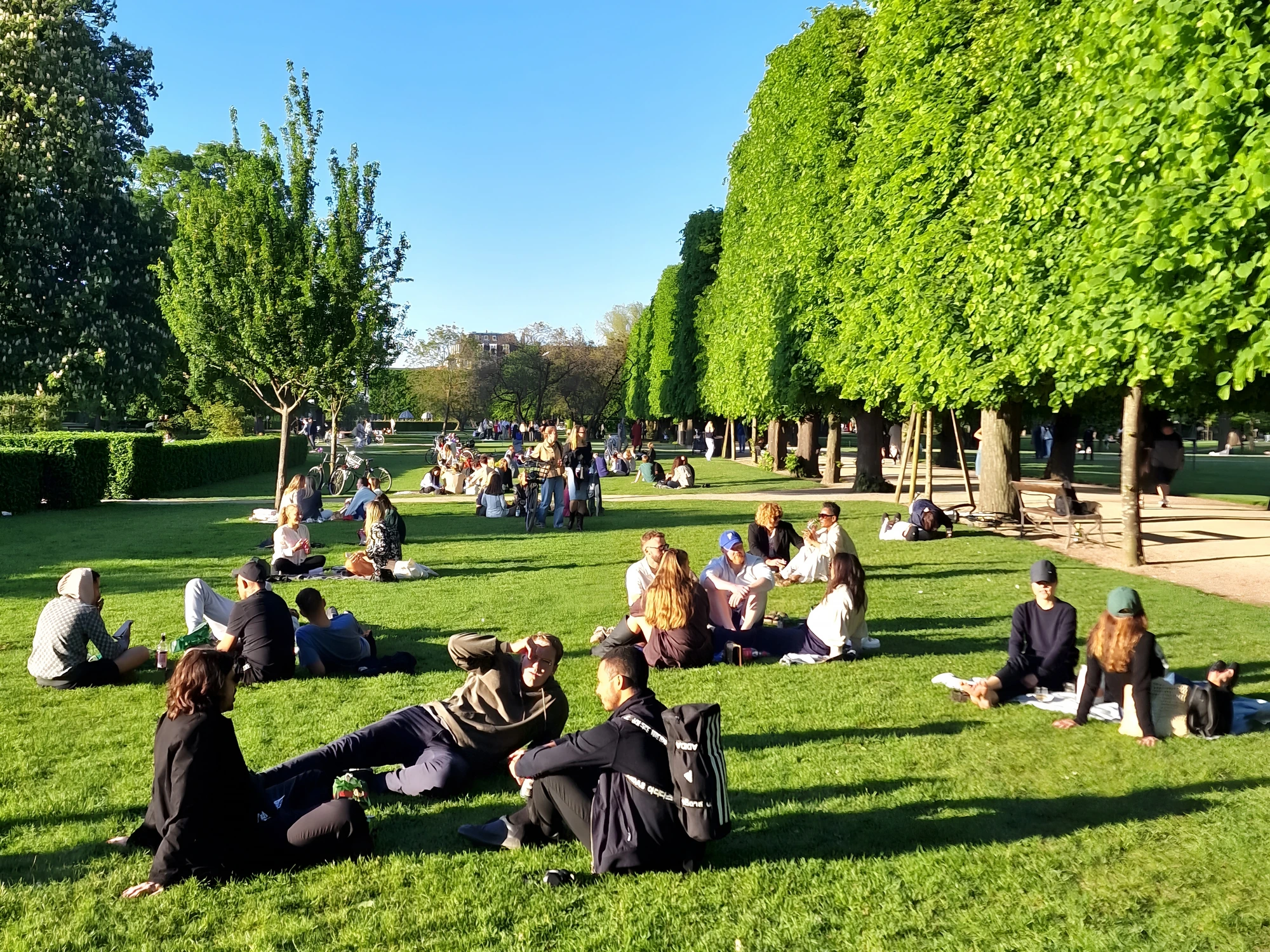 Kongens Have