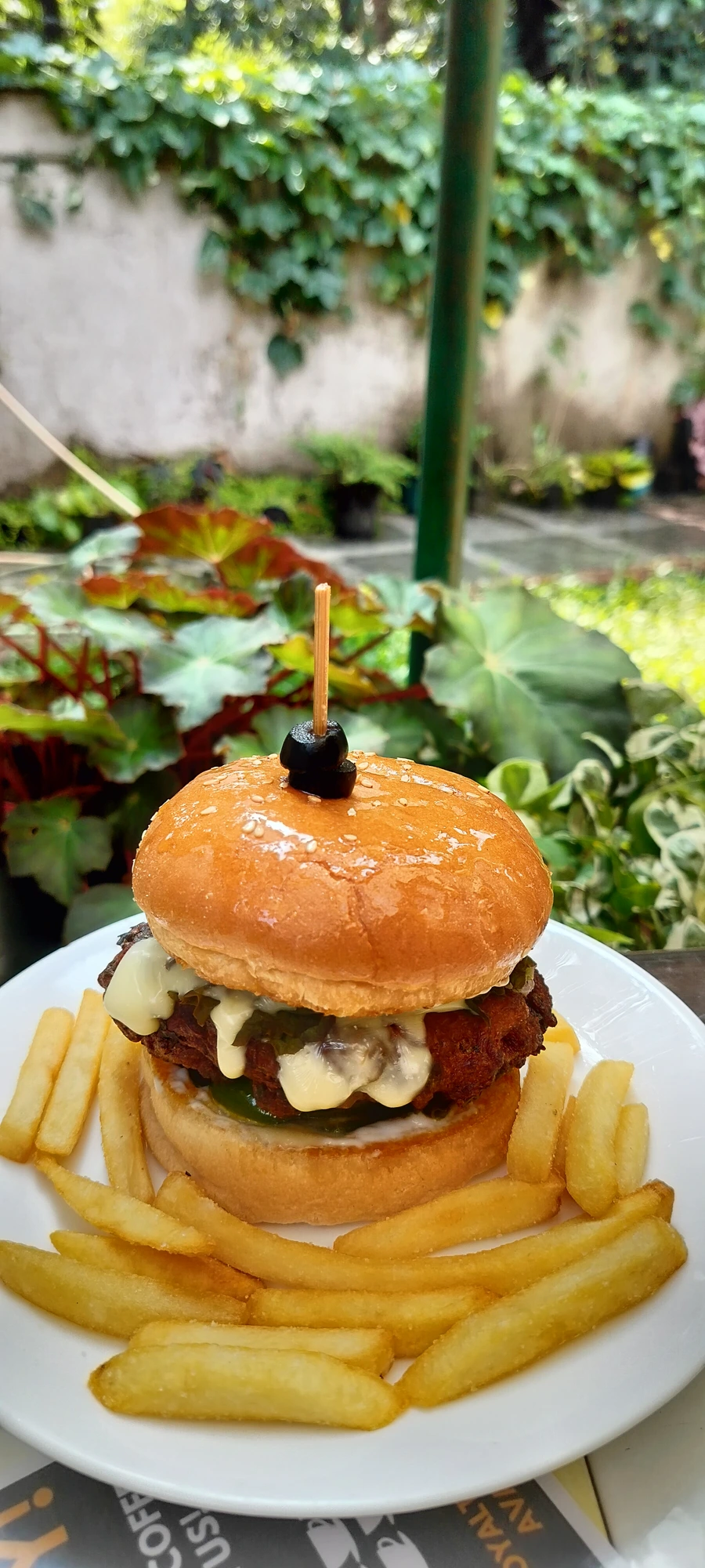 Birdie's Buns · chicken burger + fries