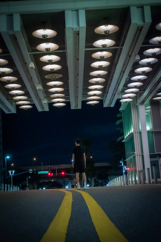 Canopy of Lights