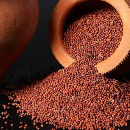 RAGI