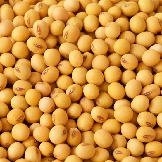 SOY
